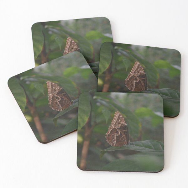 Item preview, Butterfly resting on Leaf designed and sold by Leehopko.