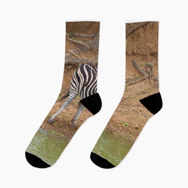 Item preview, Zebra and oxpeckers, Mkuze Game Reserve, South Africa designed and sold by FranWest.