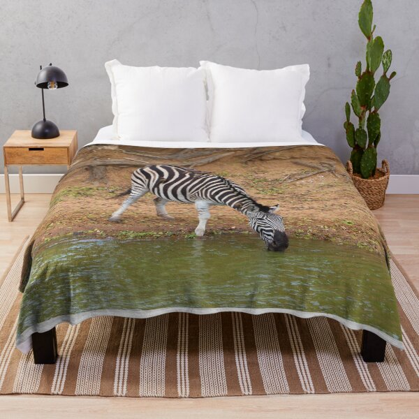 Item preview, Zebra and oxpeckers, Mkuze Game Reserve, South Africa designed and sold by FranWest.