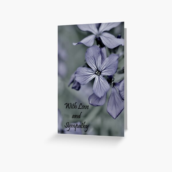 Sympathy Card 2 Greeting Card