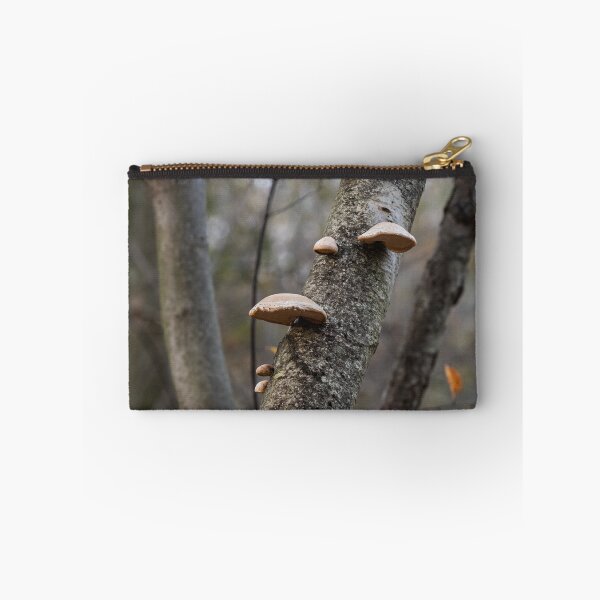 Item preview, Birch Polypore designed and sold by suburbanwilds.