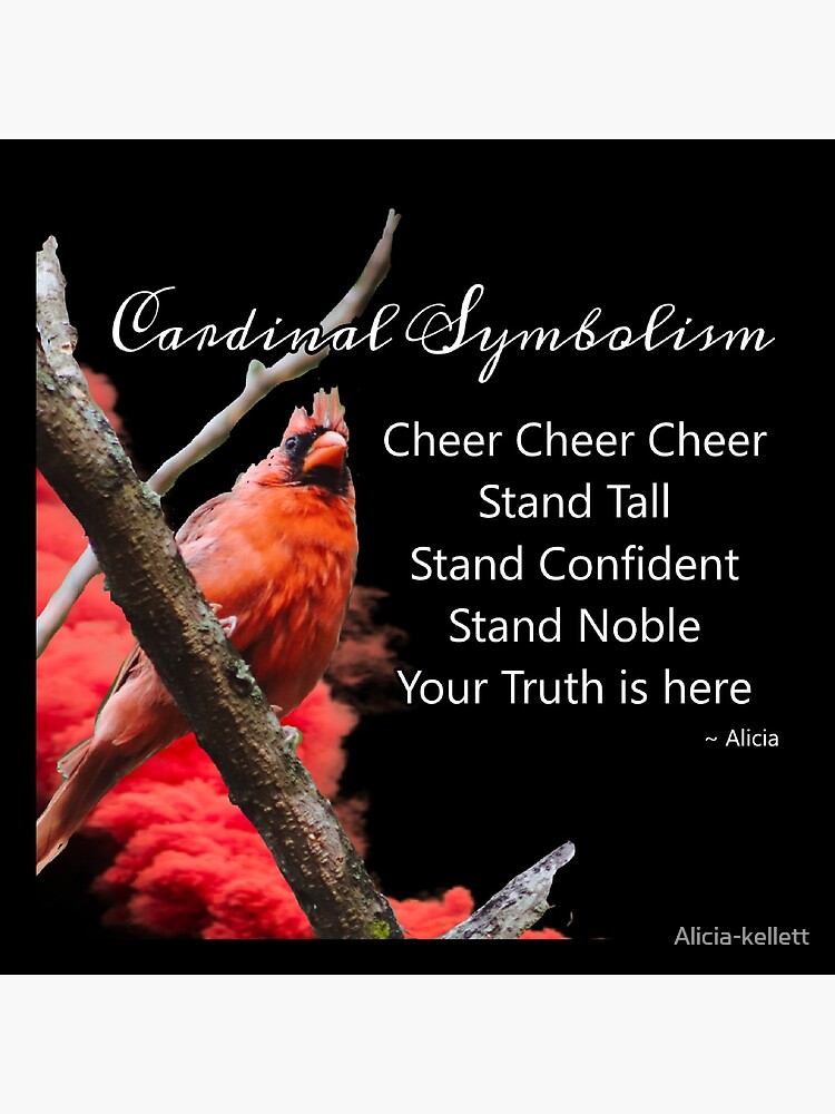 Cardinal Symbolism by Alicia-kellett