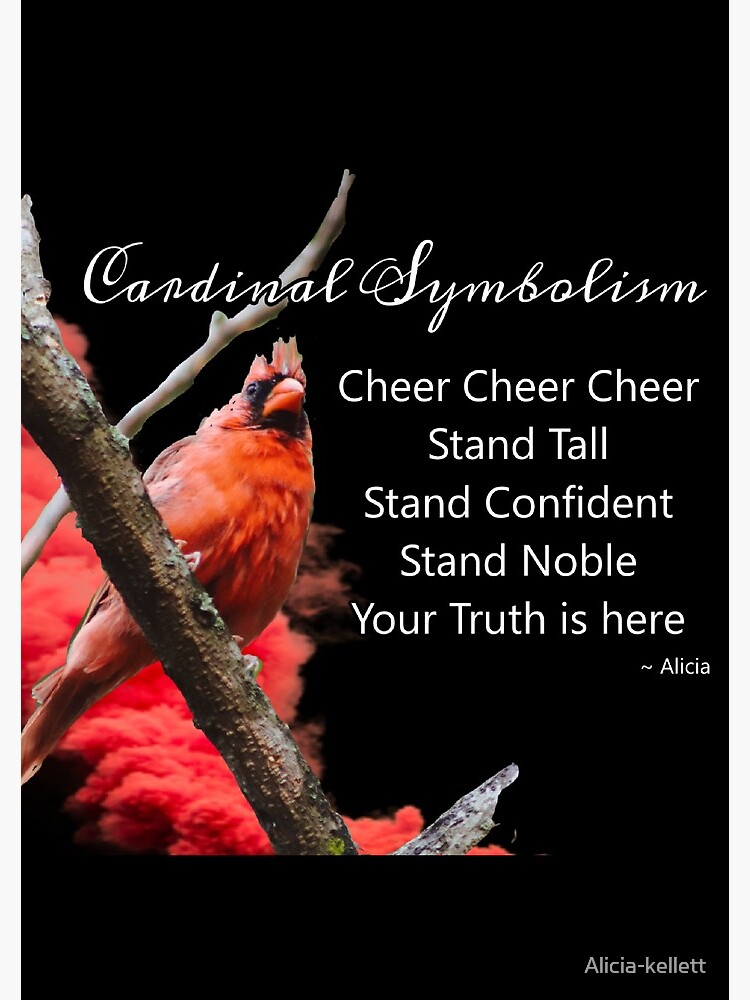 Cardinal Symbolism by Alicia-kellett