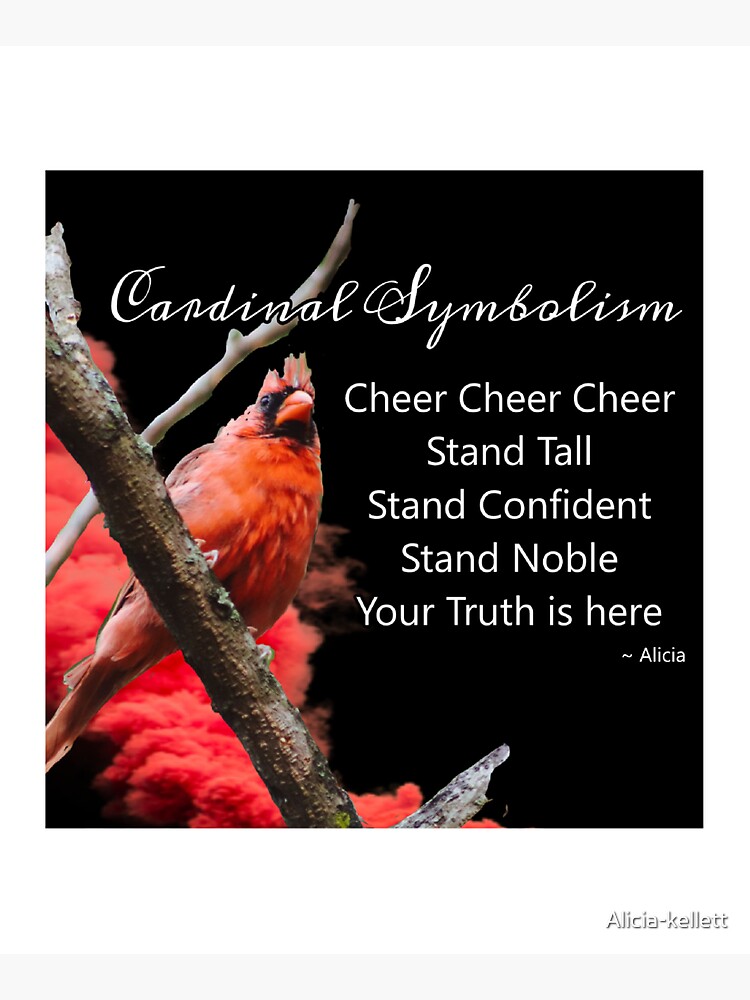 Cardinal Symbolism by Alicia-kellett