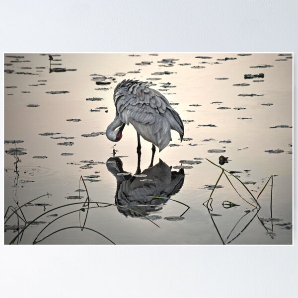 Item preview, Crane 2 designed and sold by sandraalberts.