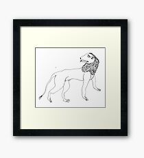 lion Framed Print