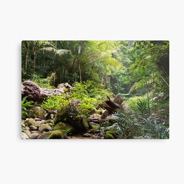 Item preview, Peaceful and Majestic High Rainforest Mountain Stream  designed and sold by Bellamaree.