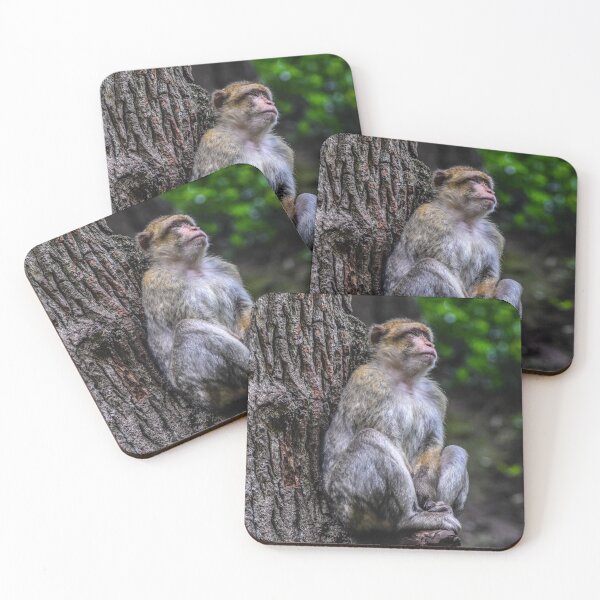 Item preview, Contemplating Monkey designed and sold by Leehopko.