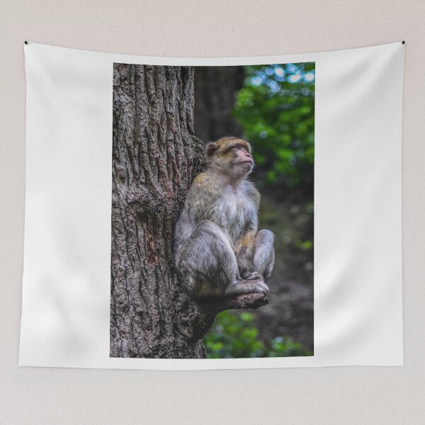 Item preview, Contemplating Monkey designed and sold by Leehopko.