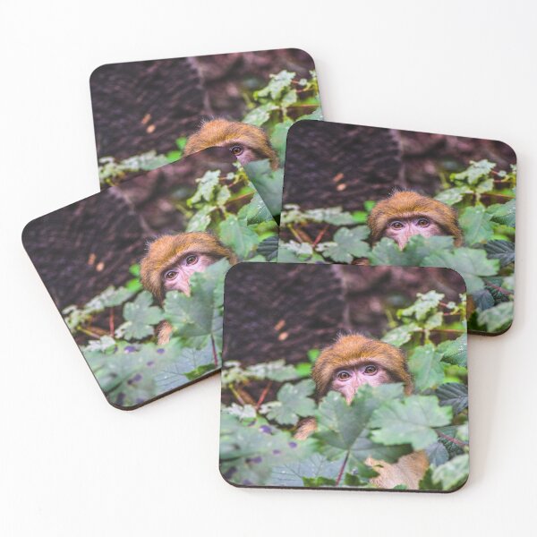 Item preview, Monkey hiding in the bushes designed and sold by Leehopko.