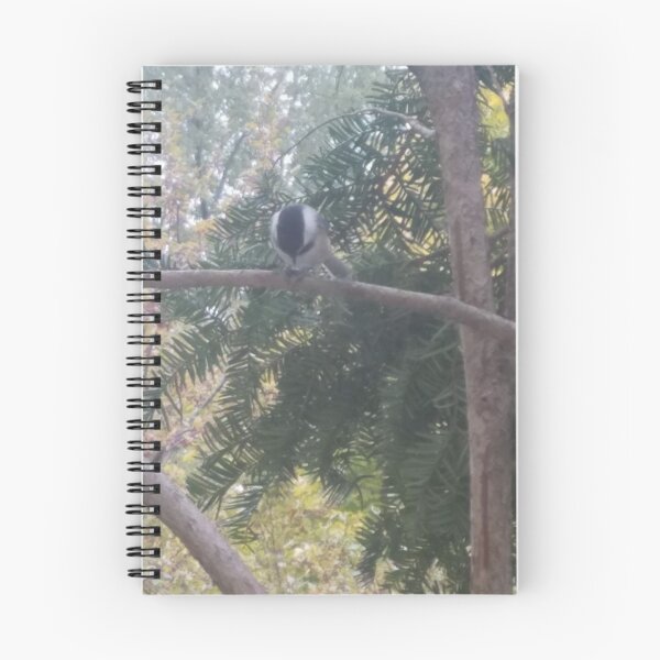 Item preview, Chickadee designed and sold by Spectrum Perspectives.