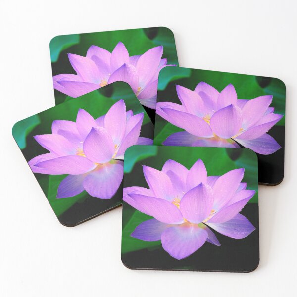 Item preview, Lotus Pink Leaves designed and sold by leen12 Art Designs Prints.