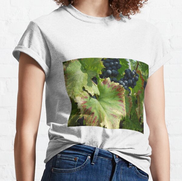 Grapes Ripe for Picking Classic T-Shirt