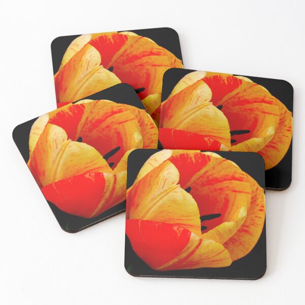 Item preview, Tulip designed and sold by Erin Koehler.