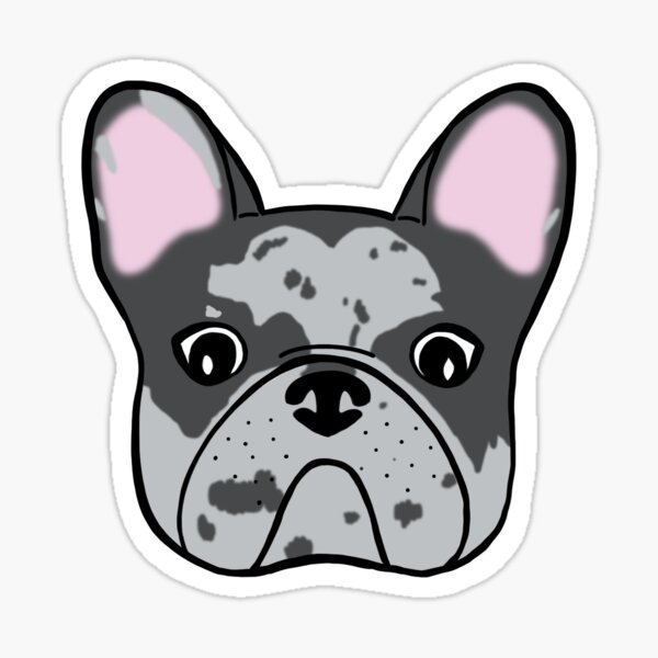 Blue French Bulldog Gifts & Merchandise For Sale | Redbubble