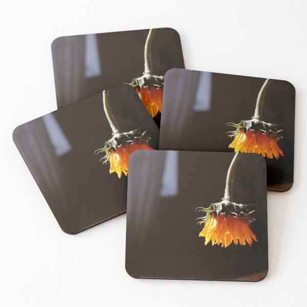 Item preview, girasol designed and sold by MariannaPhotos.