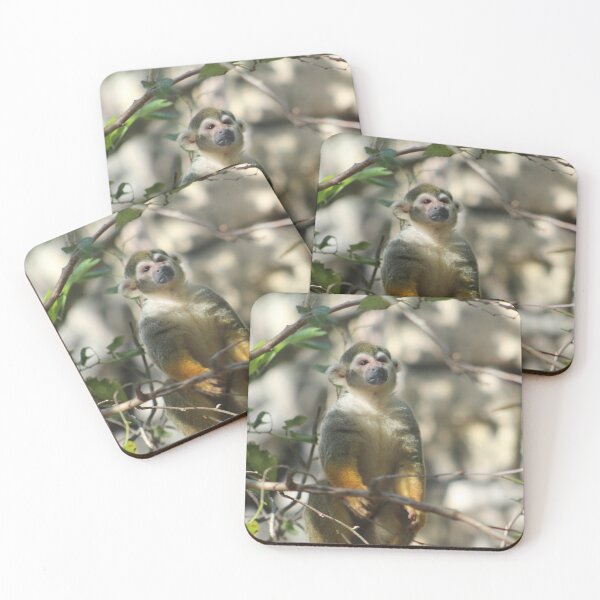 Item preview, Squirrel Monkey Alert designed and sold by Bob Hardy.
