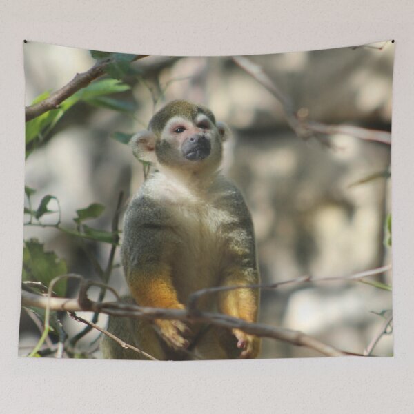 Item preview, Squirrel Monkey Alert designed and sold by Bob Hardy.