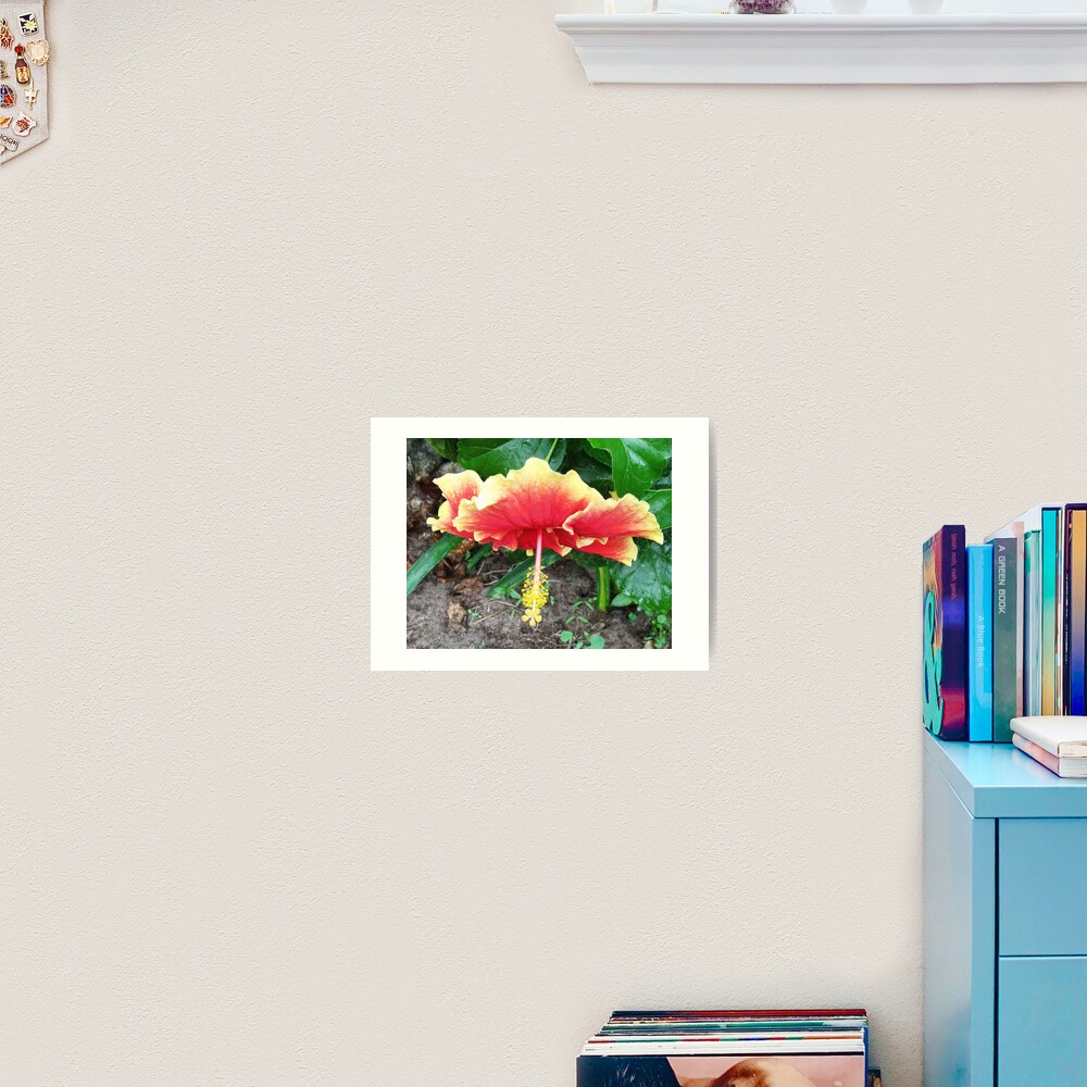 Hibiscus Beauty Art Print
