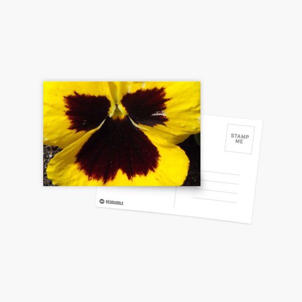 SPRING ANGEL Postcard