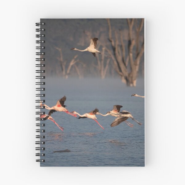 Item preview, Flying Flamingos on Lake Nakuru Kenya designed and sold by Christina Backus.