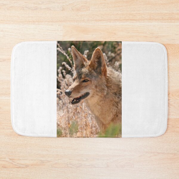 Item preview, Coyote designed and sold by RichImage.