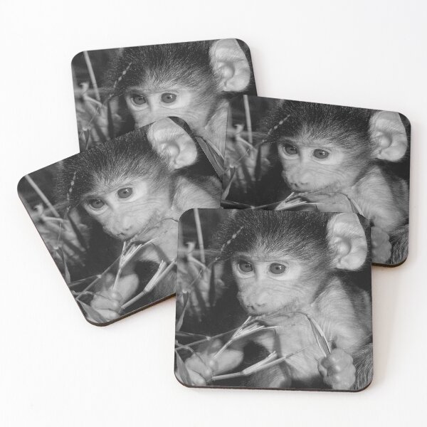 Item preview, NOT BAD! - THE BABY -  CHACHMA BABOON - Papio ursinus designed and sold by Magriet Meintjes.