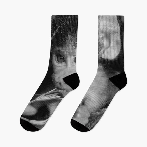 Item preview, NOT BAD! - THE BABY -  CHACHMA BABOON - Papio ursinus designed and sold by Magriet Meintjes.