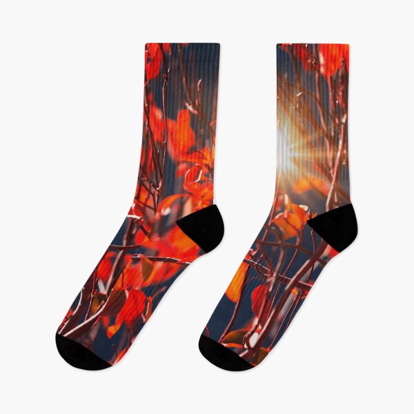 Item preview, Fall Colors  designed and sold by Alex Preiss.