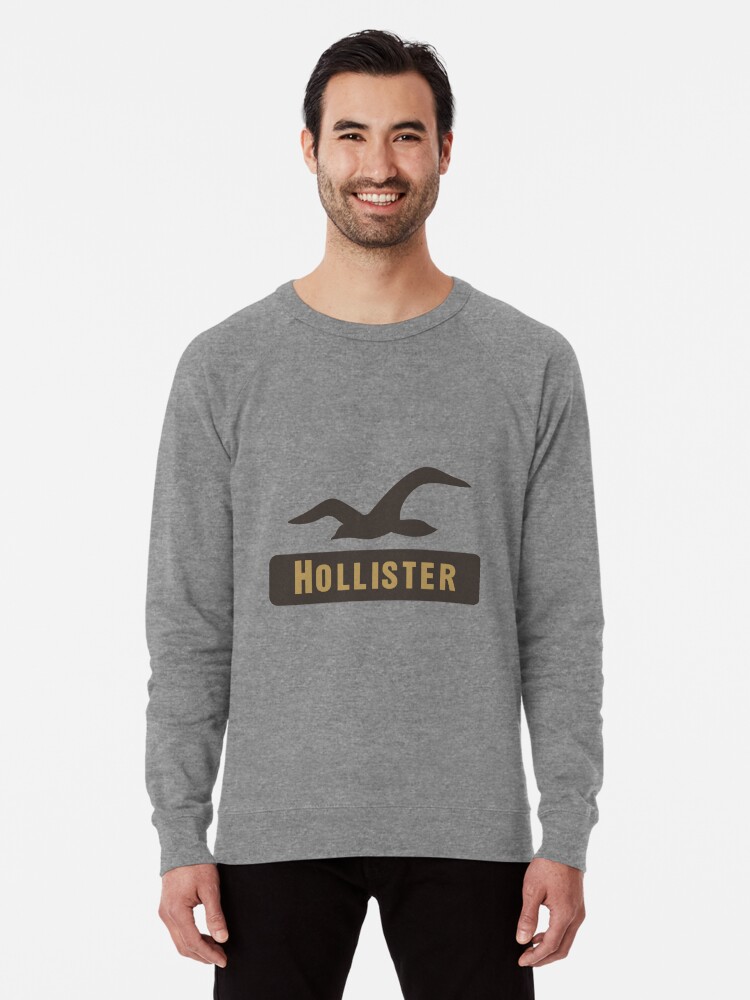 hollister lion hoodie