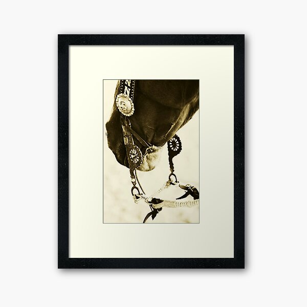 Vaquero Style II Framed Art Print