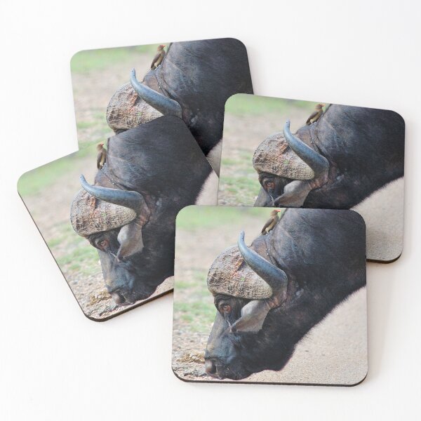 Item preview, TURN AROUND THIS IS THE WRONG WAY -  The Buffalo - Syncerus caffer  designed and sold by Magriet Meintjes.