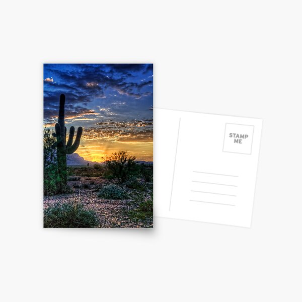 Sonoran Sunrise Postcard