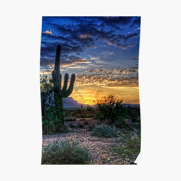 Sonoran Sunrise Poster
