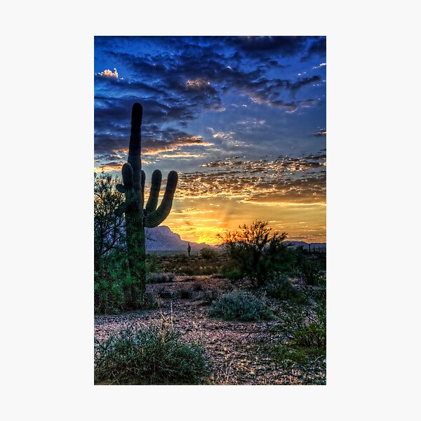 Sonoran Sunrise Photographic Print