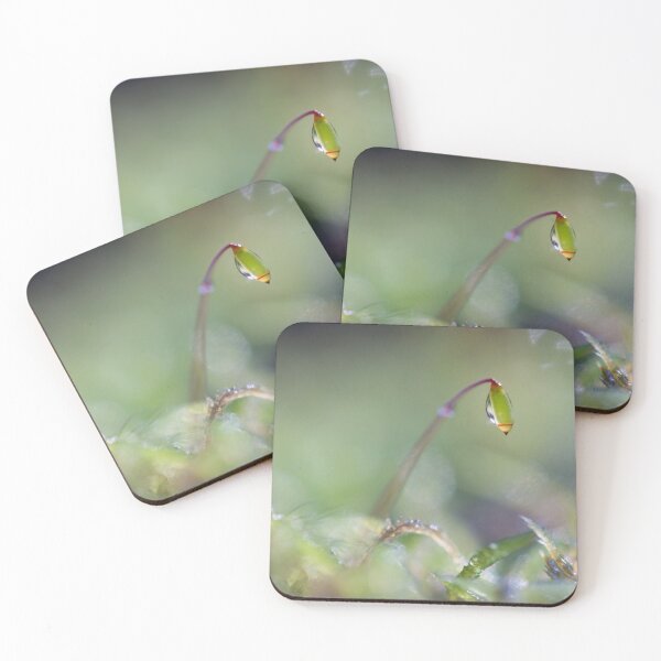 Item preview, Moss designed and sold by GreenNote.