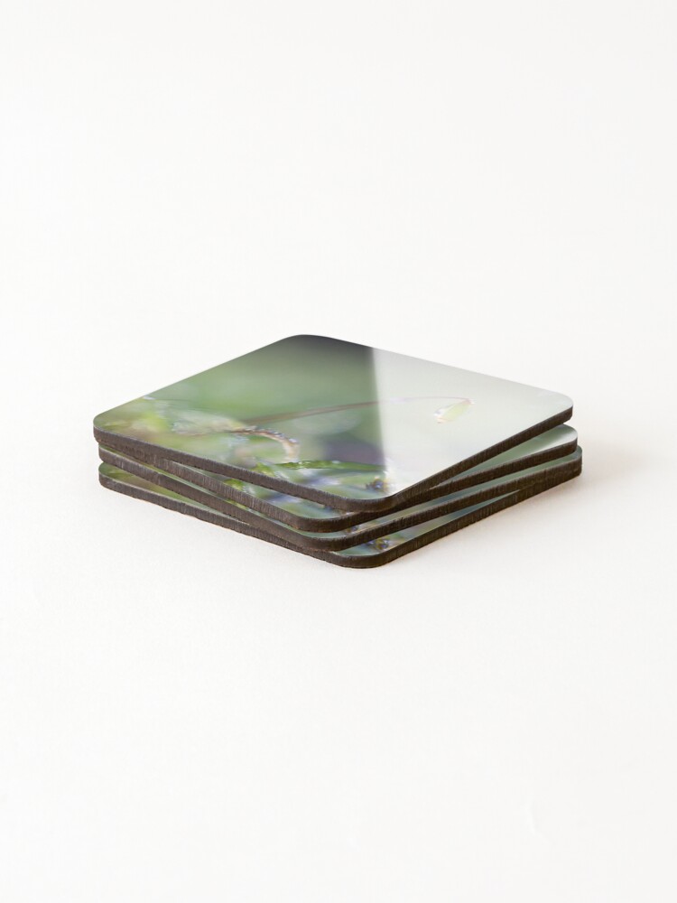 Thumbnail 4 of 5, Coasters (Set of 4), Moss designed and sold by GreenNote.