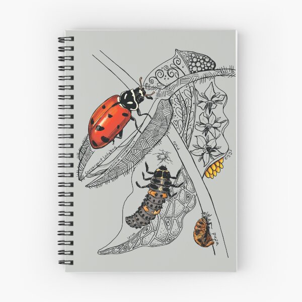 Item preview, Lady Bug Life-Cycle Doodle designed and sold by mernstw.