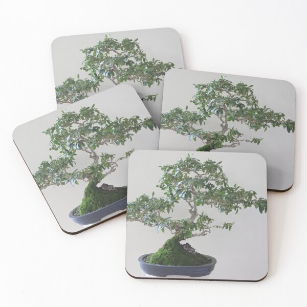 Item preview, Bonsai tree Wild olive 37 year old  designed and sold by NJH110.