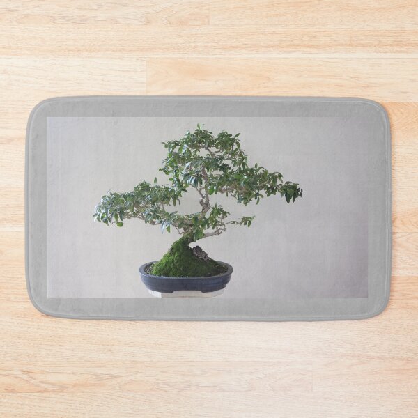 Item preview, Bonsai tree Wild olive 37 year old  designed and sold by NJH110.