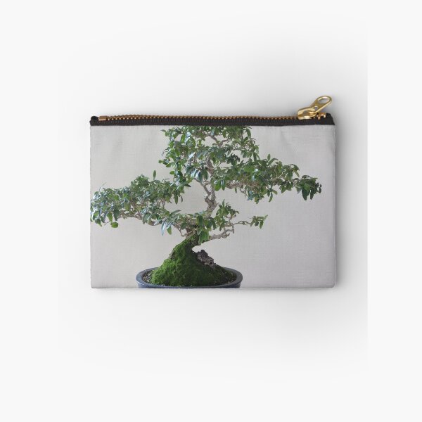 Item preview, Bonsai tree Wild olive 37 year old  designed and sold by NJH110.