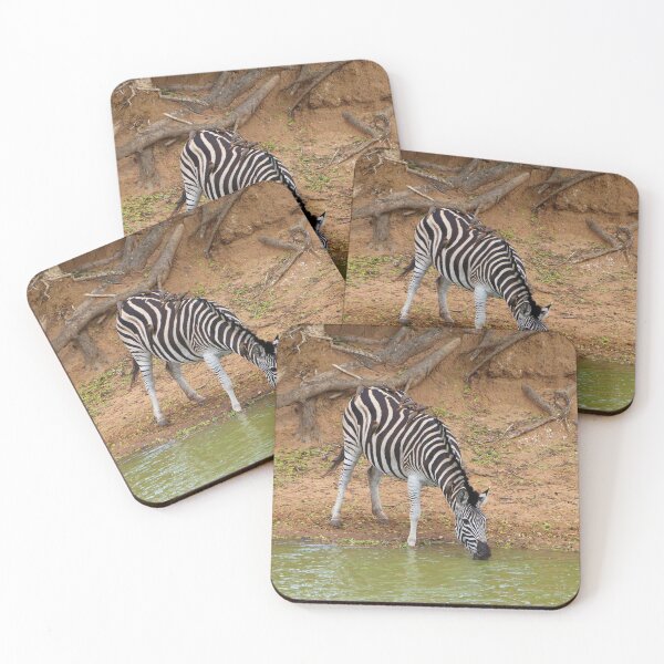 Item preview, Zebra and oxpeckers, Mkuze Game Reserve, South Africa designed and sold by FranWest.
