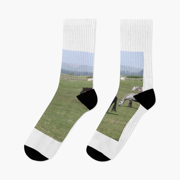 Item preview, herd of black and white horses in field designed and sold by goceris.