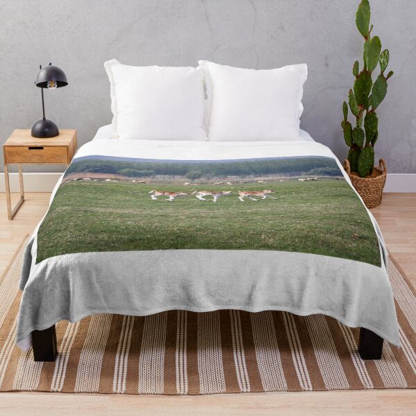 Item preview, three young calves run across the field designed and sold by goceris.