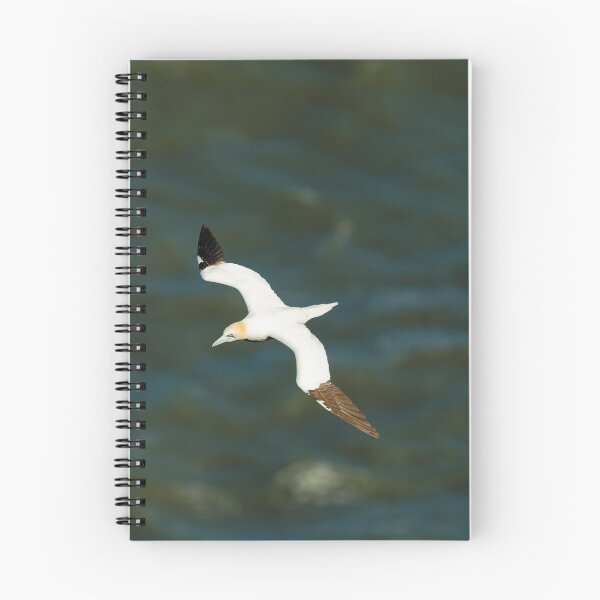 Item preview, SEA SKIMMING designed and sold by andrewsaxton.