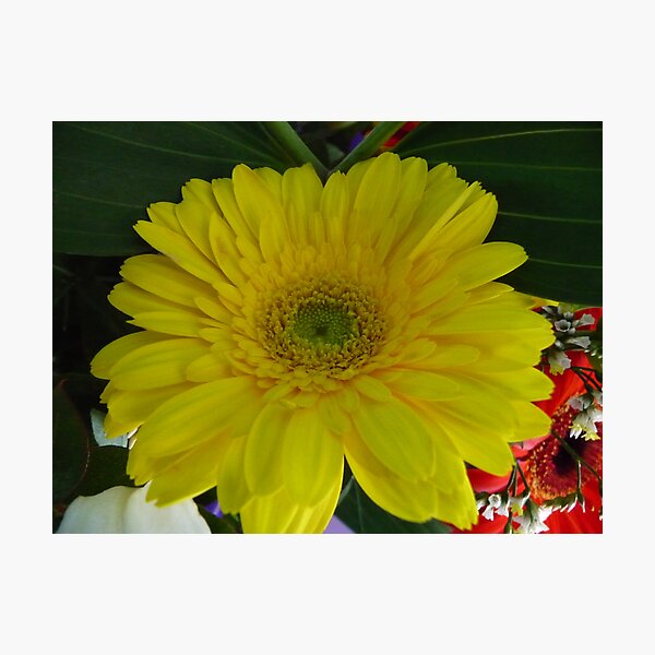 Item preview, Le Jaune Fleur  designed and sold by DEB CAMERON.