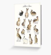 Rabbits & Hares Greeting Card
