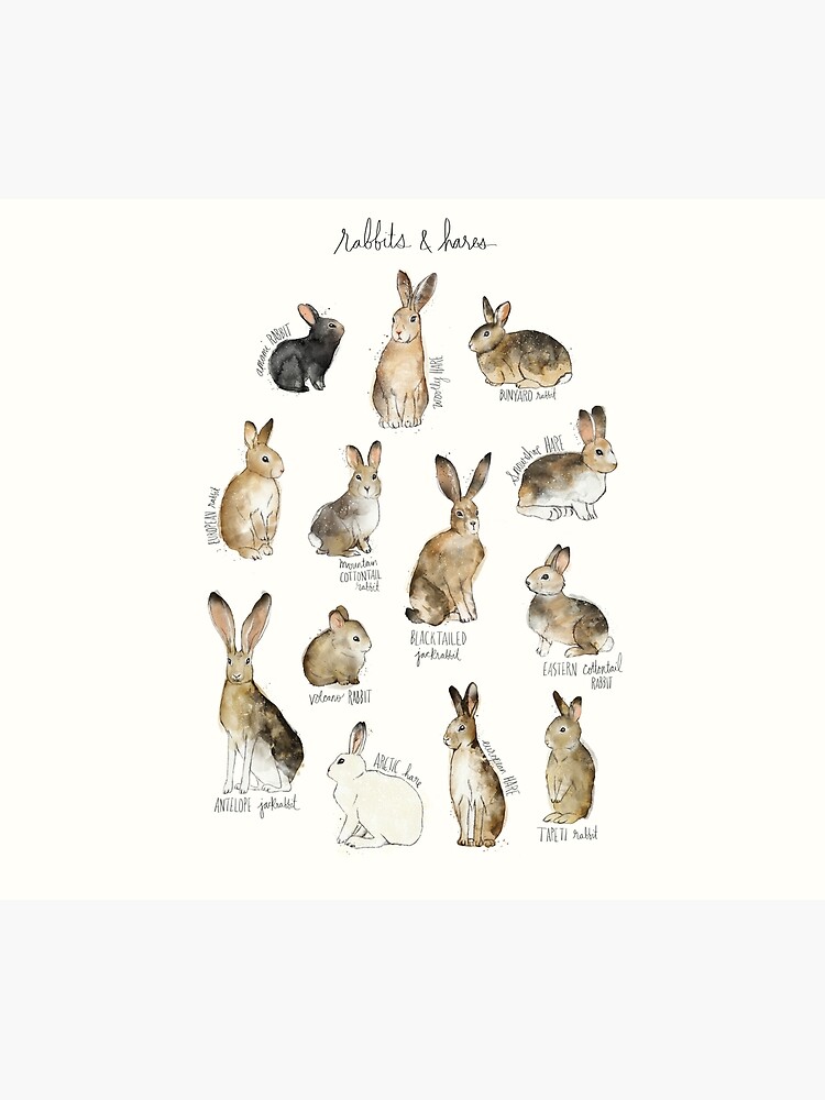 Thumbnail 2 of 2, Duvet Cover, Rabbits & Hares designed and sold by Amy Hamilton.