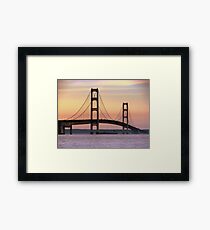 Bridge In Motion Framed Print