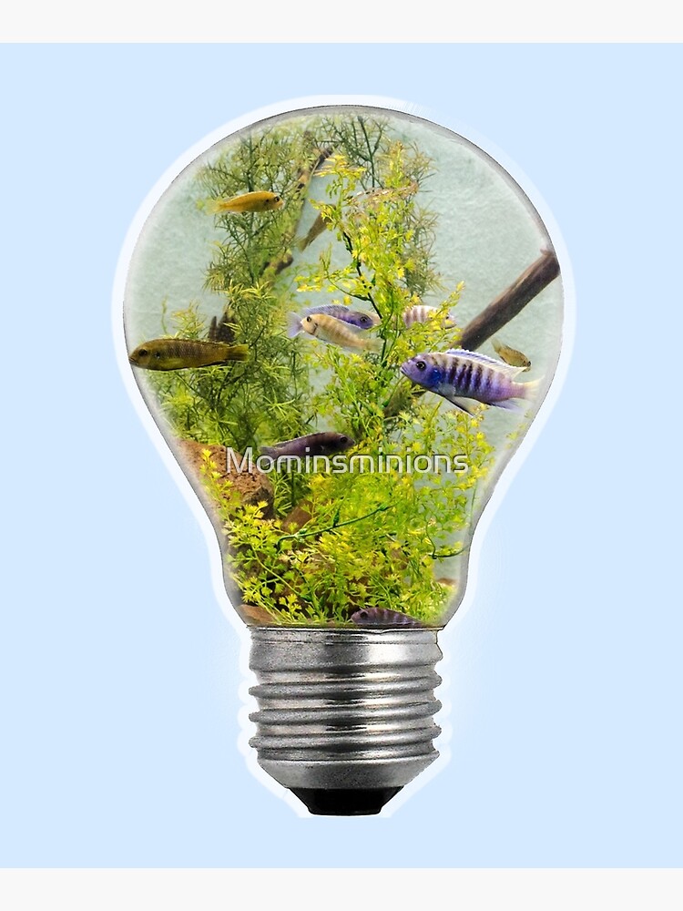 AQUARIUM LAMP by Mominsminions